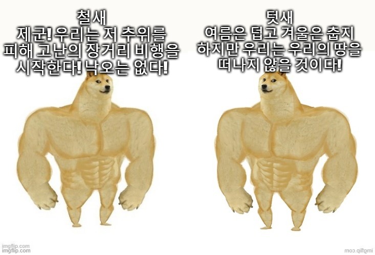 철새텃새3.jpg