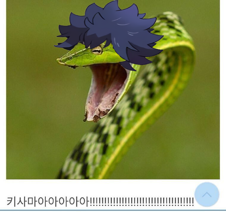 키사마!!!.png