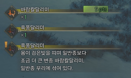 흑풍달리미 2.png